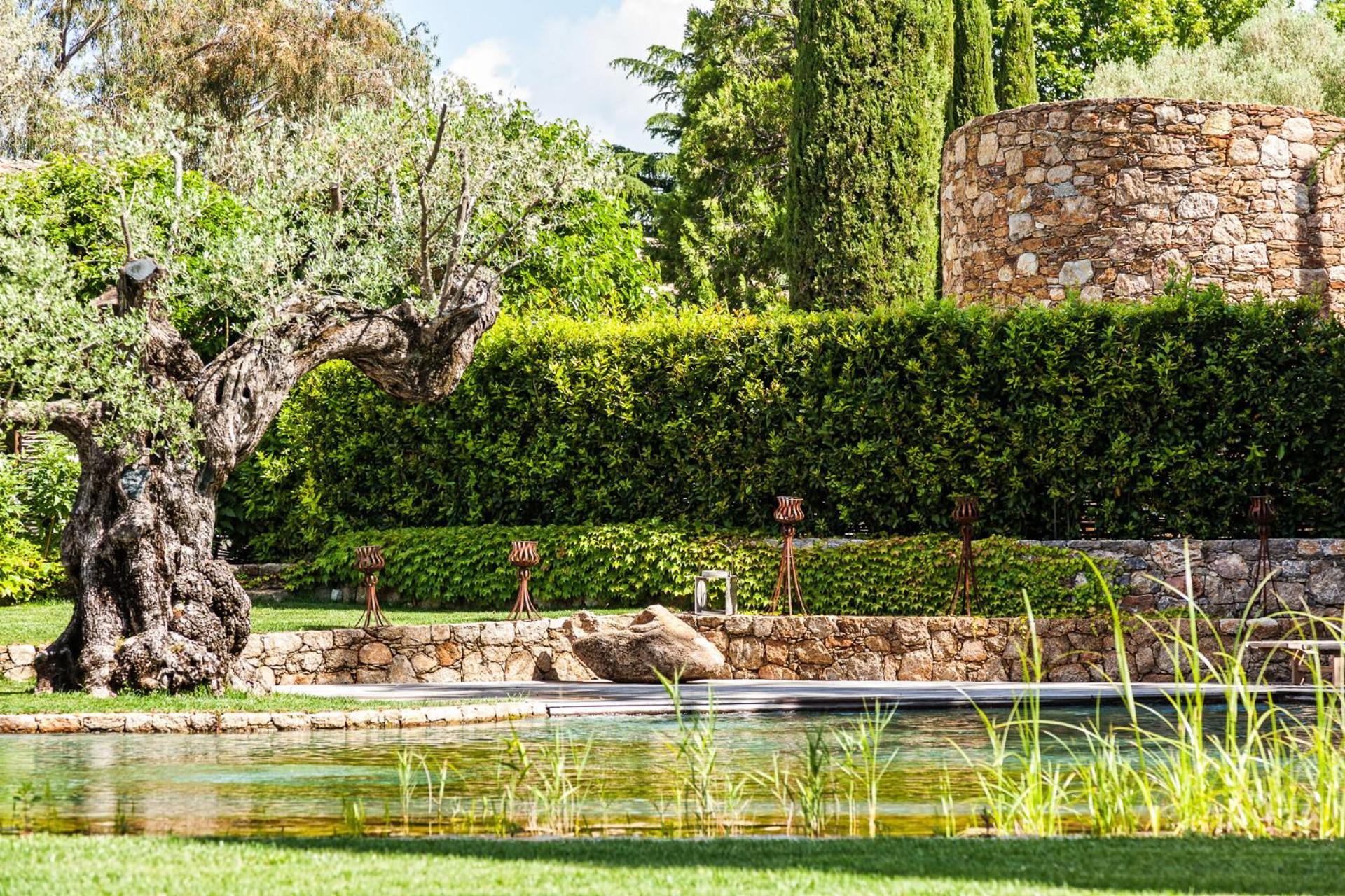 Domaine Les Mesanges Gassin Exterior foto