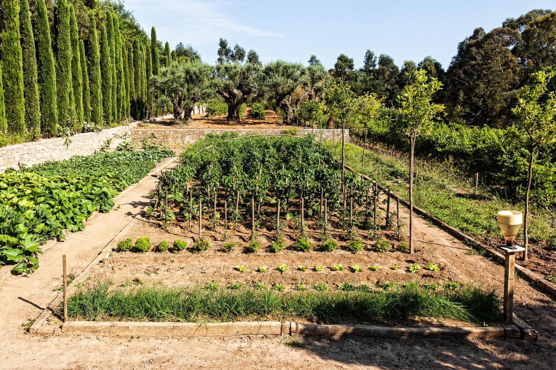 Domaine Les Mesanges Gassin Exterior foto