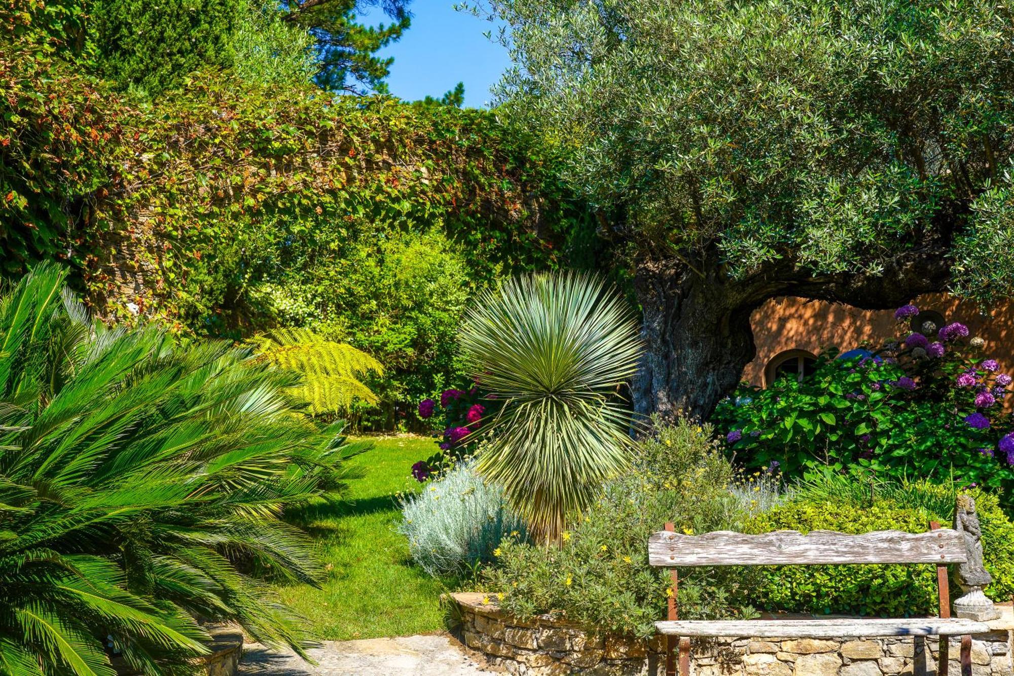 Domaine Les Mesanges Gassin Exterior foto