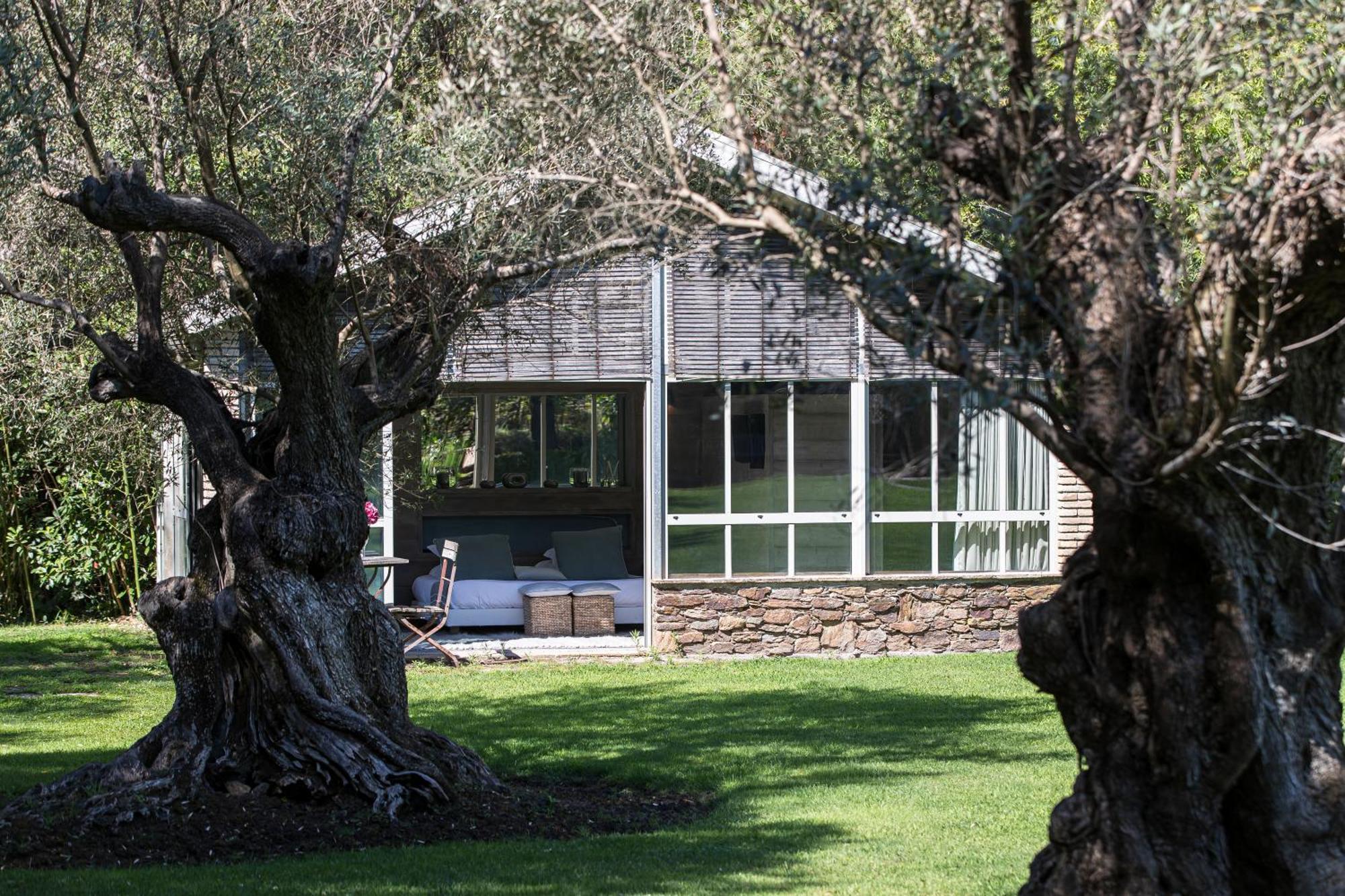 Domaine Les Mesanges Gassin Exterior foto