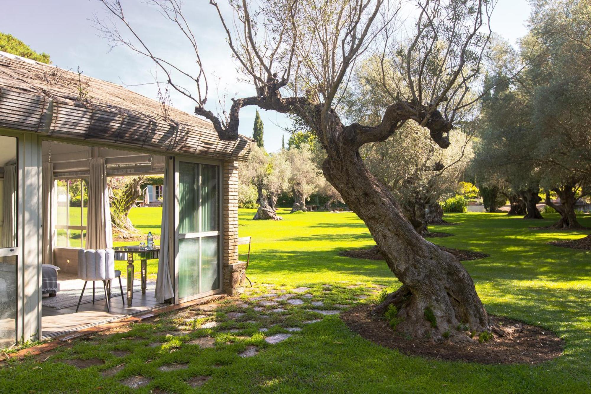 Domaine Les Mesanges Gassin Exterior foto