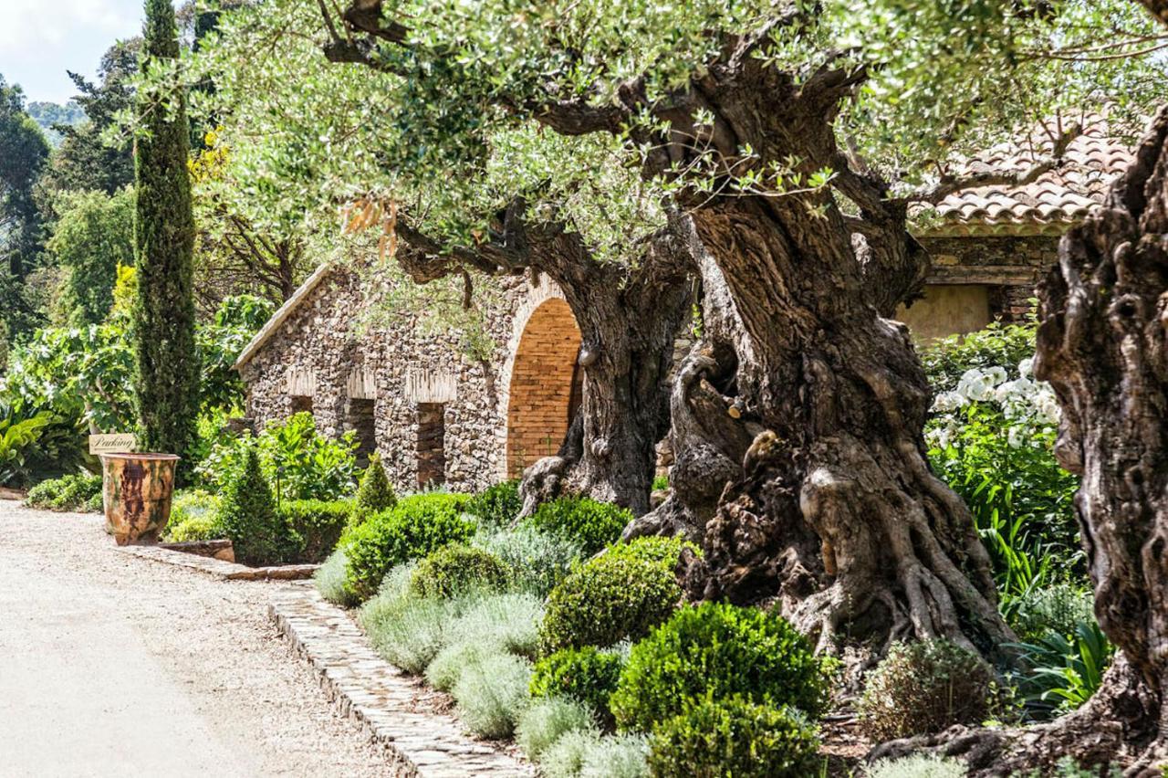 Domaine Les Mesanges Gassin Exterior foto